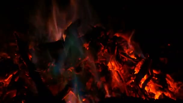 Arco iris hoguera mística en la quema de madera en la oscuridad — Vídeo de stock