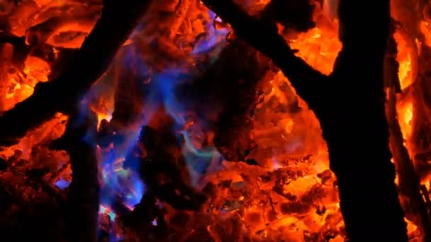 Zajímavý neobvykle pestrobarevný oheň na spalování dřeva ve tmě — Stock video