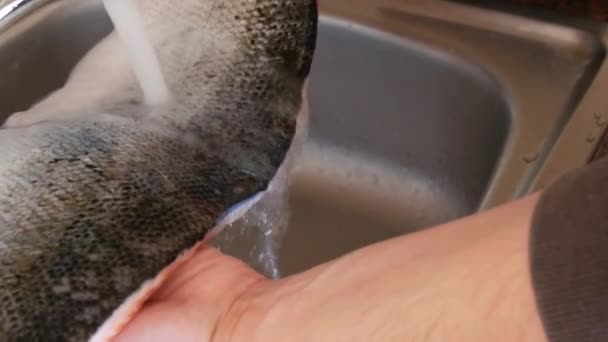 Erkek eller, ev mutfağında musluk suyunun basıncıyla büyük bir balık filetosunu yıkıyor. — Stok video