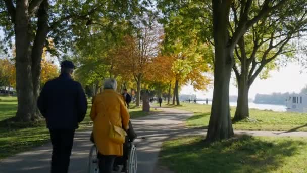 24 de outubro de 2021 - Kehl, Alemanha: as pessoas passeiam pelas ruas do parque de outono citys, passando pela grama verde e árvores amareladas, ao lado do rio Reno, respiram ar fresco e desfrutam da natureza — Vídeo de Stock