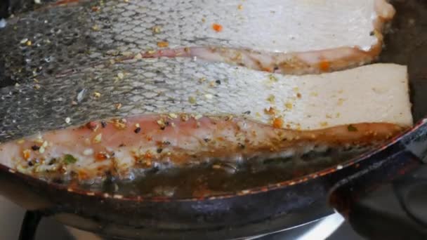 Filet z łososia czerwonej ryby solone i przyprawione pieprzem smażone na patelni w kuchni domowej z bliska widok — Wideo stockowe