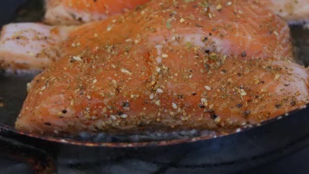 Kırmızı balık filetosu tuzlu ve biberli ev mutfağında kızartma tavasında kızartılmış. — Stok video