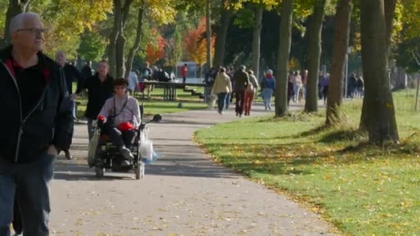 24 de octubre de 2021 - Kehl, Alemania: mujer discapacitada en silla de ruedas pasea por las calles del parque de otoño de la ciudad, pasa por césped verde y árboles amarillentos, respira aire fresco y disfruta de la naturaleza — Vídeos de Stock