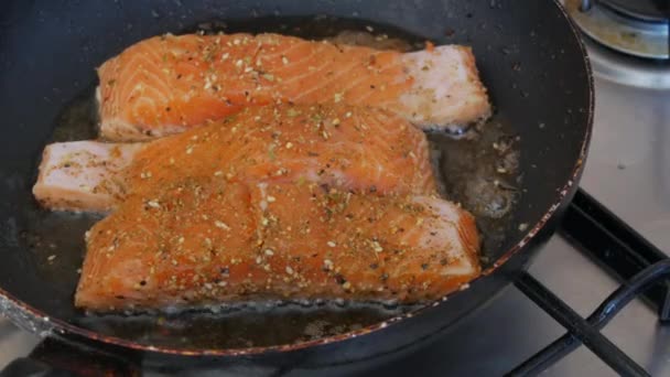 Filé de salmão de peixe vermelho salgado e temperado com pimenta frita em uma frigideira na cozinha doméstica — Vídeo de Stock