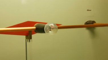 Elektrik ve akkor lamba ya da ampul ve manyetik alan deneyleri