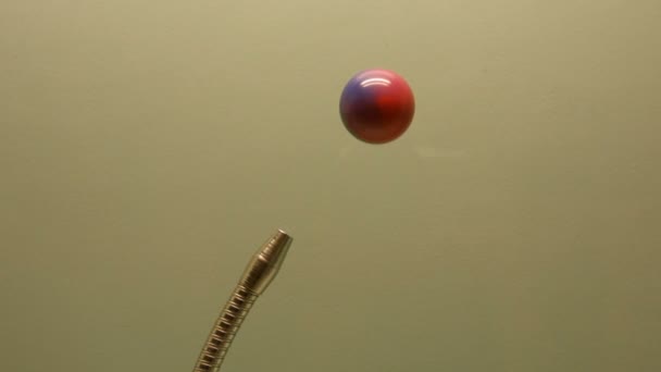Experimentellt rum med exempel på aerodynamik, en stråle av luft höjer upp små röda bollen — Stockvideo