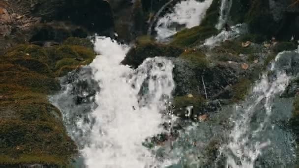 Duże, masywne czarne kamienie pokryte zielonym mchem, na którym woda płynie z górskiego przezroczystego strumienia — Wideo stockowe