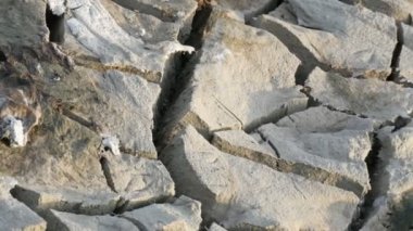 Kuru ve susuz toprak. Toprak kuraklık yüzünden çatladı.