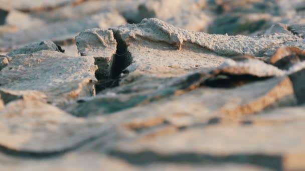 Sol déshydraté sec. Terre lacustre fissurée due à la sécheresse — Video