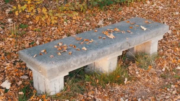 Oude betonnen bank in park van het Nymphenburg Paleis in München in de herfst, omgeven door droog, gevallen gebladerte — Stockvideo
