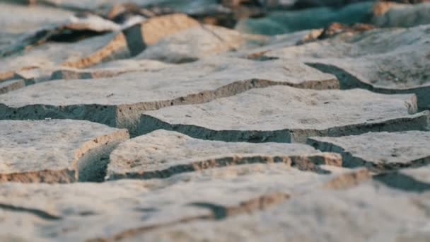 Terreno secco e disidratato. Terra lacustre incrinata a causa della siccità — Video Stock