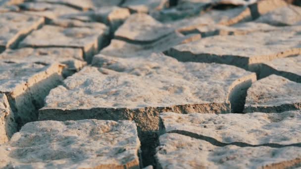 Sol déshydraté sec. Terre lacustre fissurée due à la sécheresse — Video