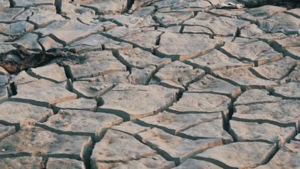 Ξηρό αφυδατωμένο έδαφος. Ραγισμένη γη λίμνης λόγω ξηρασίας — Αρχείο Βίντεο