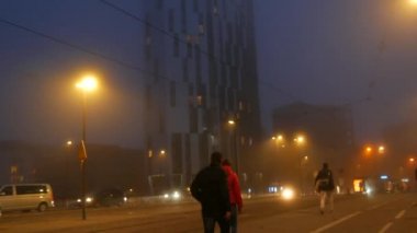 STRASBOURG, FRANCE - 6, 2021: Sisli sonbahar akşamı şehri, arabalar caddelerde yürüyor, yayalar ve bisikletçiler yürüyor
