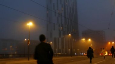 STRASBOURG, FRANCE - 6, 2021: Sisli sonbahar akşamı şehri, arabalar caddelerde yürüyor, yayalar ve bisikletçiler yürüyor