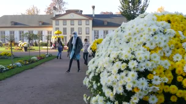 STRASBURG, FRANKRIJK - NOV 6, 2021: Orangerie Park, uitzicht op Josephines Palace, en een prachtige tuin met kleurrijke chrysanten — Stockvideo