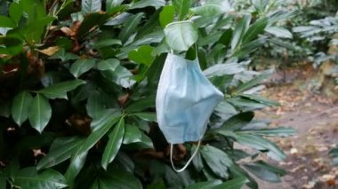 Terk edilmiş bir tıbbi maske sokak çalılığında asılı duruyor. Covid Coronavirus 19 ile savaşmanın sonuçları. İnsan kirliliği kavramı