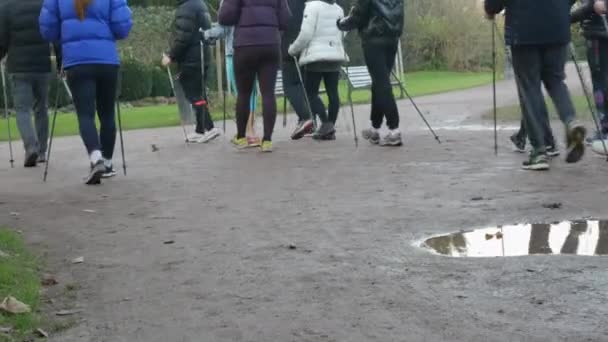 7 december 2021 - Straatsburg, Frankrijk: Een groep benen mensen atleten met stokken voor een snelle sportieve wandeling in het park — Stockvideo