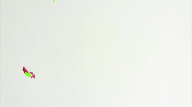 Güzel rengarenk kağıt çiçekler farklı aşamalarda ve döngülerde daireler çizerler. Hareket karikatürünü durdur