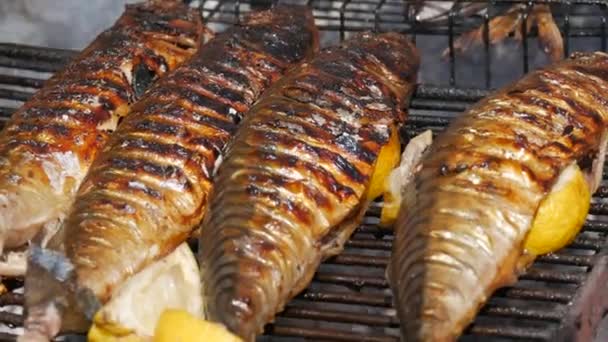 Heerlijke sappige gegrilde makreelvis gevuld met citroenen. Visgrill, straatvoedsel festival, picknick in de natuur — Stockvideo