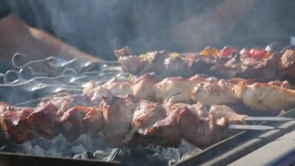 Primo piano del piatto alla griglia sul barbecue. Processo di cottura shashlik in natura. Cibo delizioso su spiedino di metallo in bbq. E 'ora di fare un picnic. Cibo di strada. Festa del cibo. Carne di maiale sul rogo. Carne di maiale fritta. — Video Stock