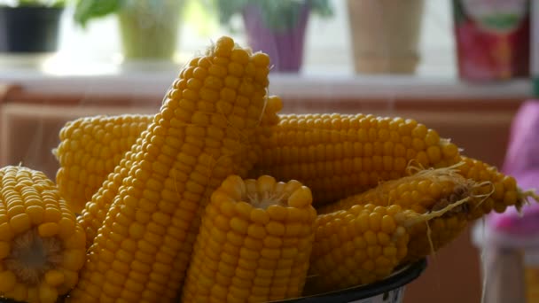 Варёная кукуруза в большой миске на домашней кухне. Выходит пар — стоковое видео