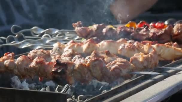 バーベキューのグリル料理のクローズアップ。料理のプロセス｜shashasha写々者-日本。bbqの金属串においしい料理。ピクニックのコンセプトに時間。ストリートフード。フードフェスティバル。ステークで豚肉。チャーシュー. — ストック動画