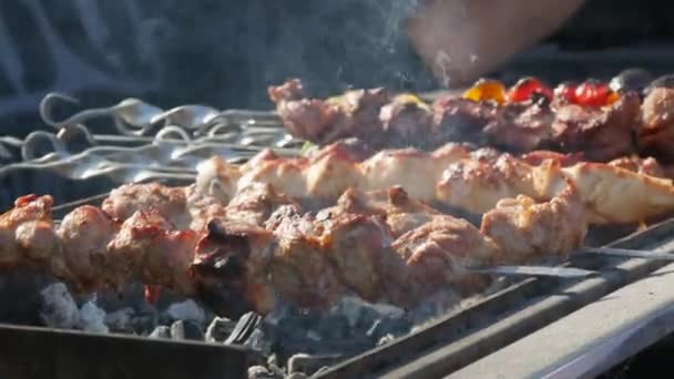 Primer plano de la parrilla en la barbacoa. Proceso de cocción shashlik en la naturaleza. Deliciosa comida en brocheta de metal en barbacoa. Hora de picnic concepto. Comida callejera. Festival de comida. Cerdo en la hoguera. Cerdo frito. — Vídeo de stock