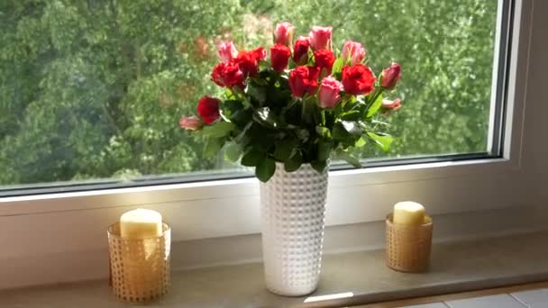 A bouquet of beautiful pink and red roses in a white vase on a home windowsill on a summer day outside the window the wind — Stock Video