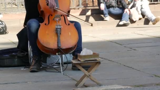 Um músico de rua tocando violoncelo na frente dele é uma caixa para doar dinheiro — Vídeo de Stock