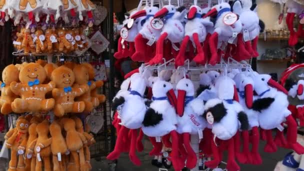 10 Outubro 2021 - Estrasburgo, França: Brinquedos de pelúcia engraçados lembranças de cegonhas, personagens de Estrasburgo no antigo bairro de Estrasburgo, Petite France, turistas passeiam pelas ruas — Vídeo de Stock