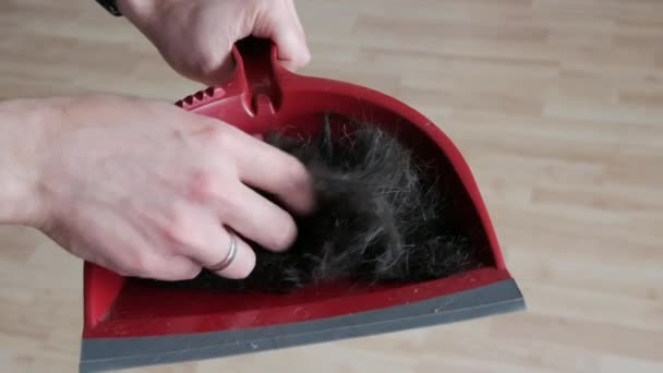 Lots of male dark cut cropped hair from the head in a red scoop. Man touching his freshly cut hair with his hands — Stock Video