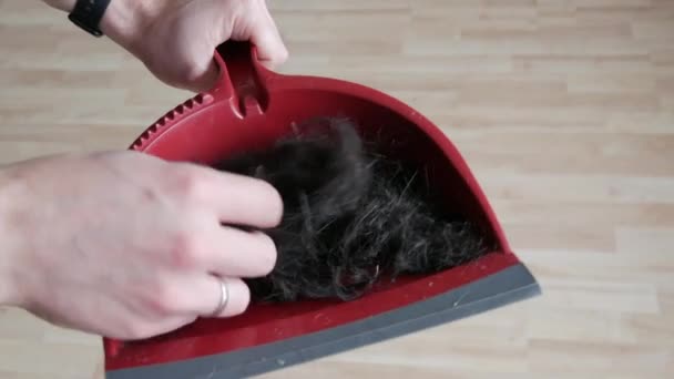 Lots of male dark cut cropped hair from the head in a red scoop. Man touching his freshly cut hair with his hands — Stock Video