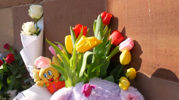 Strasbourg, France - 26 mars 2022 : Manifestation en soutien à l'Ukraine contre la guerre avec la Russie. Mémorial pour les enfants assassinés d'Ukraine avec des jouets et des fleurs. Inscription française — Video