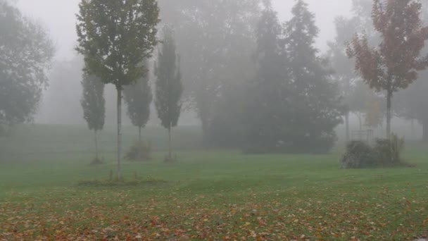 Herbstlicher Laubwald im Nebel. Herbstliche Ästhetik in einem verlassenen Park. Gelbes Laub auf den Boden gefallen — Stockvideo