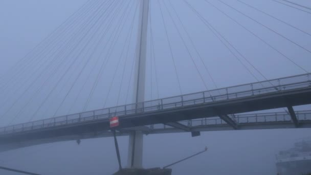 Kehl, Duitsland. Grote voetgangersbrug naar Frankrijk, Straatsburg, bijna volledig bedekt met dikke witte mist op een herfstochtend — Stockvideo