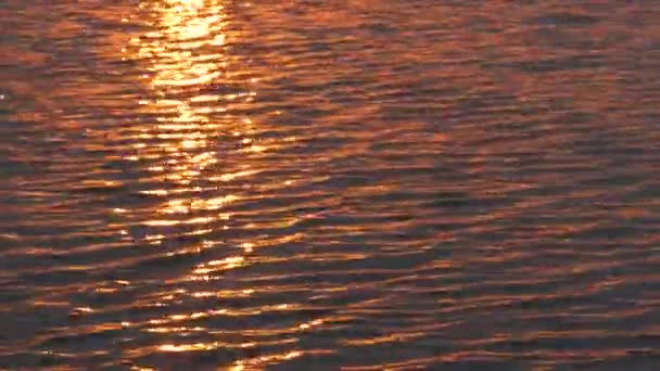 Die Strahlen der untergehenden roten Sonne auf der Wasseroberfläche — Stockvideo