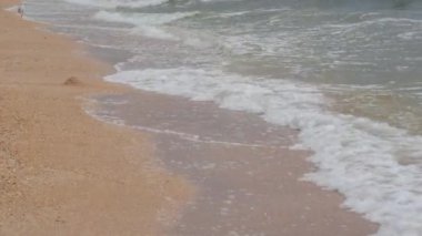 Ukrayna 'nın Azov Denizi kıyısında köpüklü güçlü dalgalar