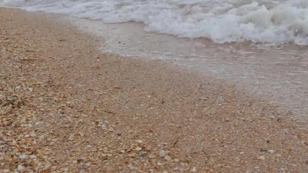 Сильні хвилі з піною на березі Азовського моря (Україна). — стокове відео