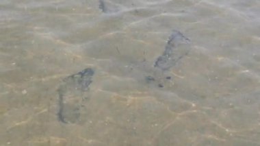 Kumlu şeffaf bir gölün dibinde insan ayak izleri. Su deposunun saf doğal suyu.