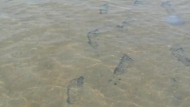 Kumlu şeffaf bir gölün dibinde insan ayak izleri. Su deposunun saf doğal suyu.