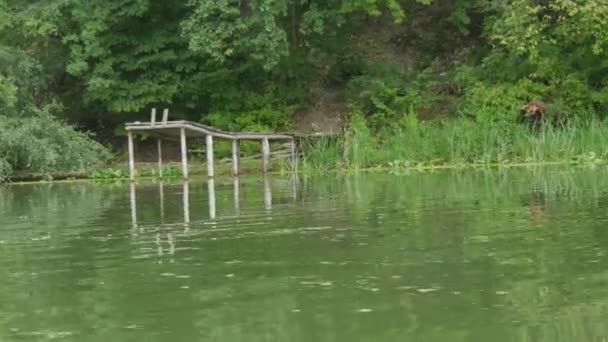 Passeggiata lungo il fiume verde sulle rive del quale crescono bellissimi alberi densi. Vista da una barca da diporto in movimento. La barca è ormeggiata sulla riva. — Video Stock