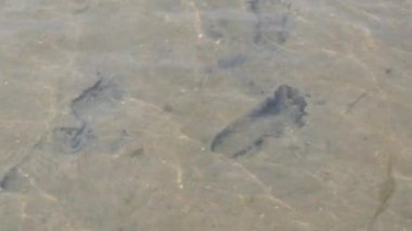 Kumlu şeffaf bir gölün dibinde insan ayak izleri. Su deposunun saf doğal suyu.