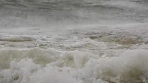 Starka vågor med skum på stranden av Azovska sjön, Ukraina — Stockvideo