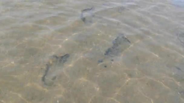 Human footprints at the bottom of a sandy transparent lake. Pure natural water of the reservoir — Stock Video