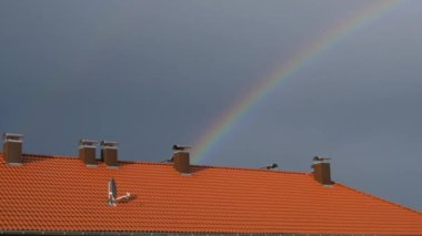 Siyah yağmurlu bir gökyüzünün arka planına karşı evin kırmızı çatısında gökkuşağı. Yazın yağan kör yağmurdan sonra gökyüzünde çok renkli gökkuşağı