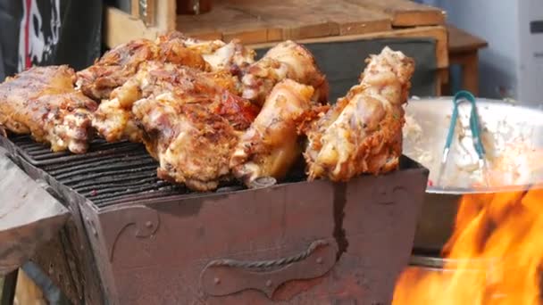 Yağlı, sulu domuz budu ızgarada kızarır ve arka planda alev alır. Sokak yemeği festivali, açık hava pikniği — Stok video