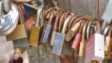 Mummelsee, Almanya - 23 Temmuz 2022: Aşıkların sonsuz aşkının bir sembolü olarak, bir ağacın üzerindeki çeşitli demir kapı kilitleri. Aşık çiftlerin gelenekleri.