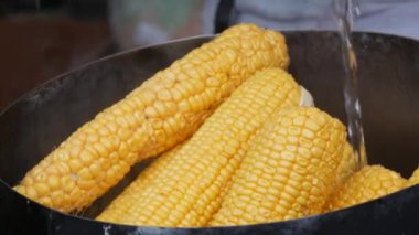 Haşlanmış sudaki olgun mısır ve iyi sağlık için vitaminler. Sıcak kazanda sarı mısır. Kaynar suda sebze pişirmek..