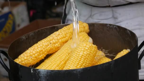 Fresh Ripe Yellow Squash Corn Poured Water Future Cooking Boiled — стоковое видео